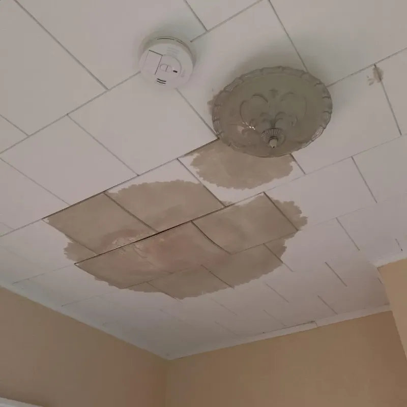 Ceiling Water Damage Repair in East Rochester, NY